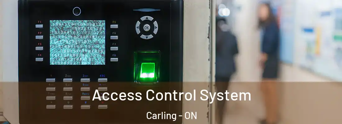  Access Control System Carling - ON