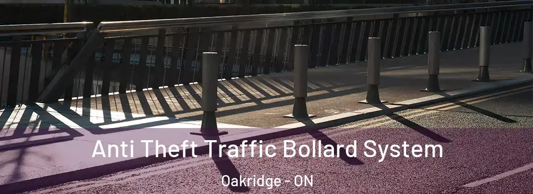  Anti Theft Traffic Bollard System Oakridge - ON