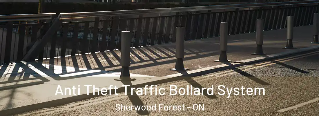  Anti Theft Traffic Bollard System Sherwood Forest - ON