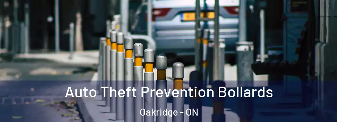  Auto Theft Prevention Bollards Oakridge - ON