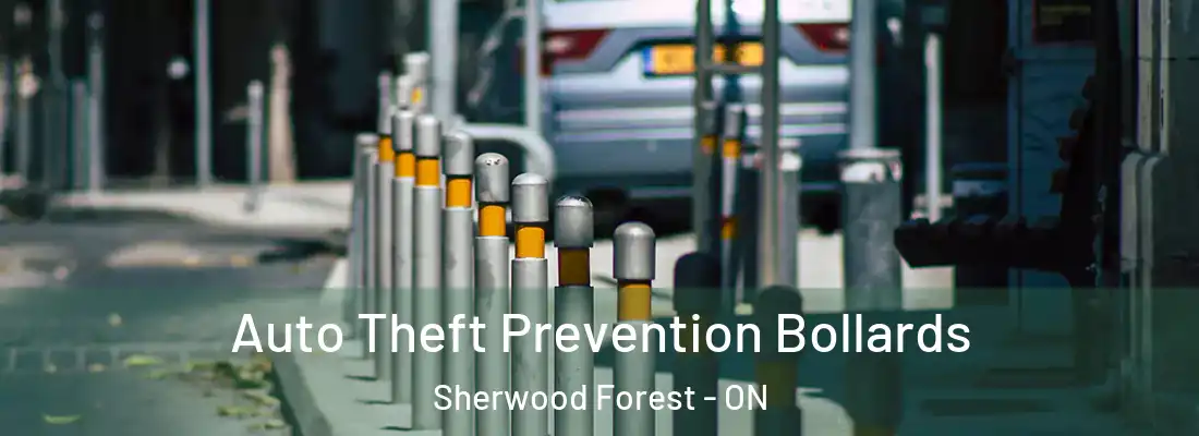  Auto Theft Prevention Bollards Sherwood Forest - ON