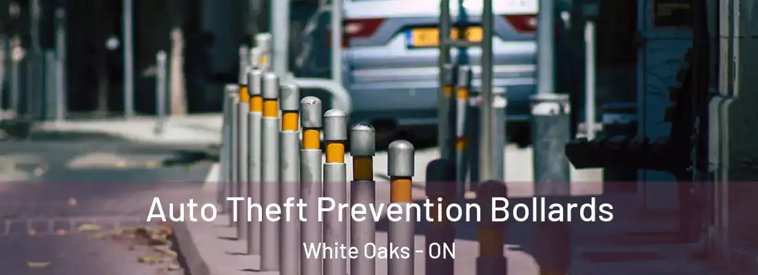  Auto Theft Prevention Bollards White Oaks - ON