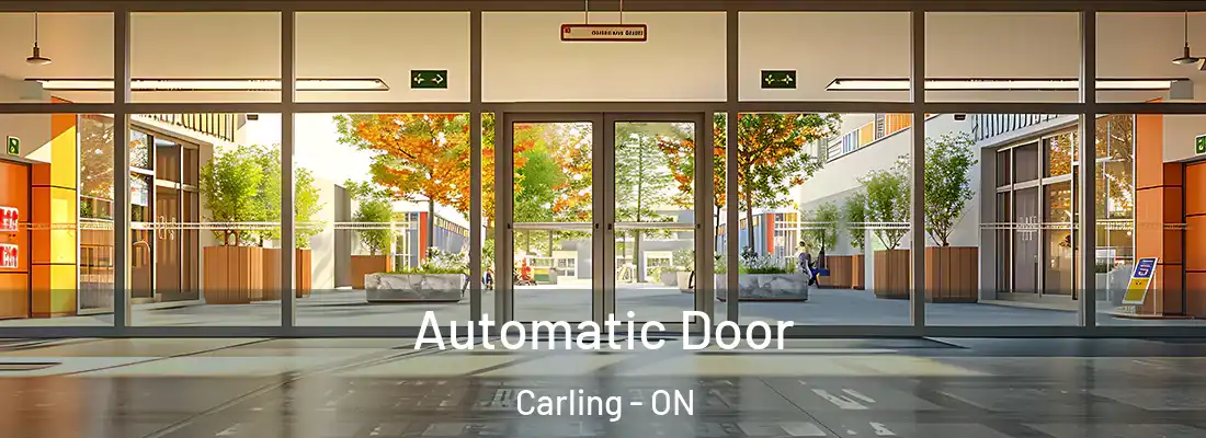  Automatic Door Carling - ON