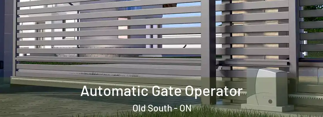  Automatic Gate Operator Old South - ON