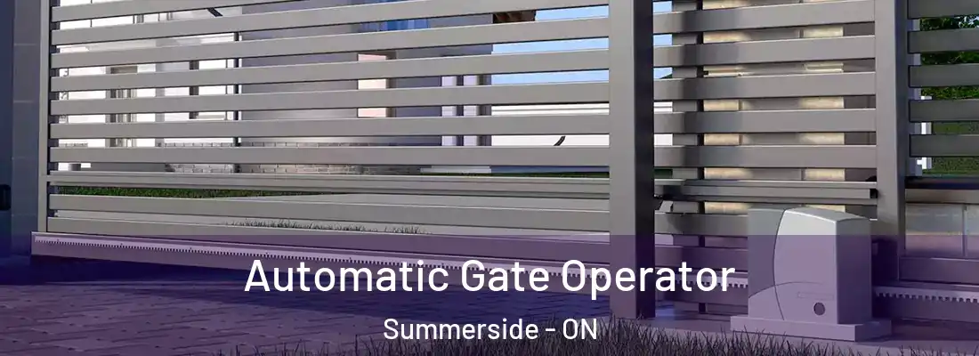  Automatic Gate Operator Summerside - ON