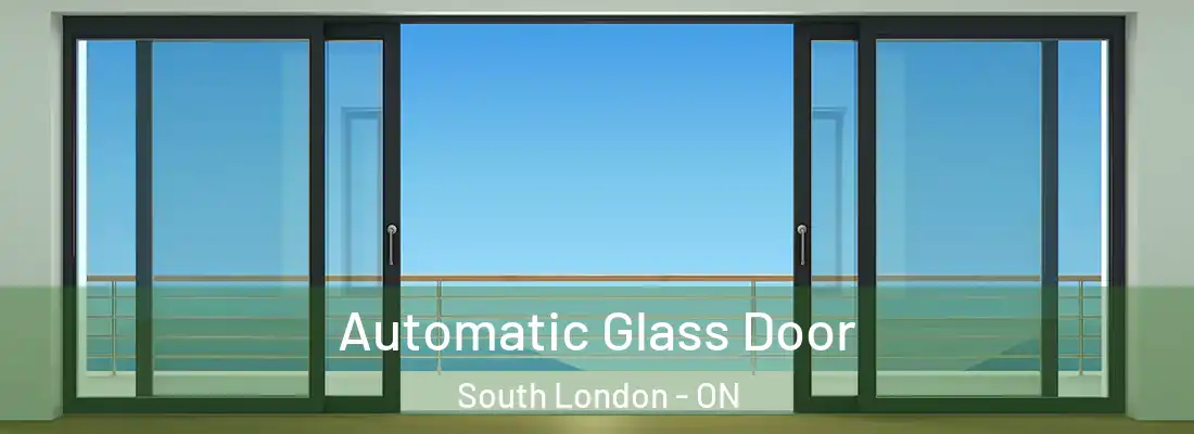  Automatic Glass Door South London - ON