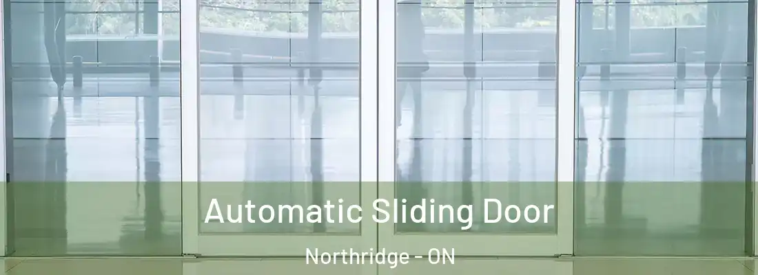  Automatic Sliding Door Northridge - ON