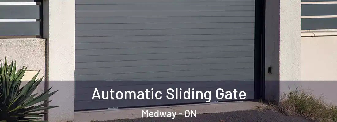  Automatic Sliding Gate Medway - ON