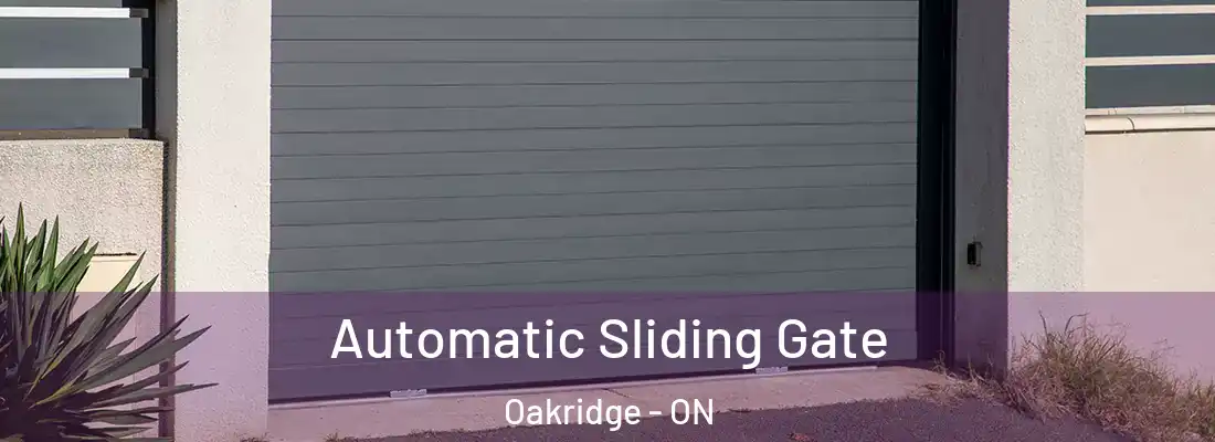  Automatic Sliding Gate Oakridge - ON