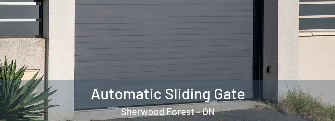  Automatic Sliding Gate Sherwood Forest - ON