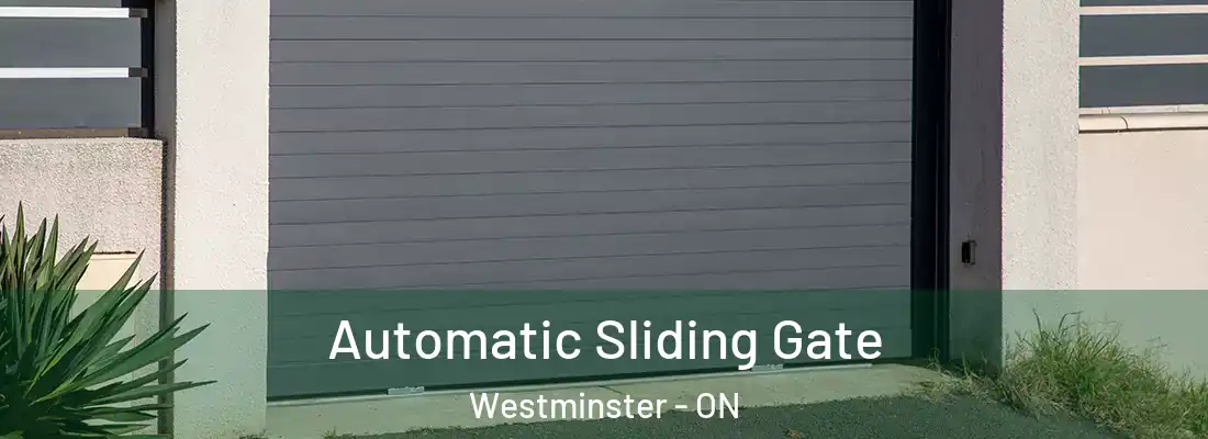  Automatic Sliding Gate Westminster - ON