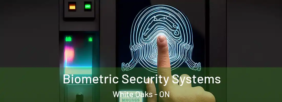  Biometric Security Systems White Oaks - ON