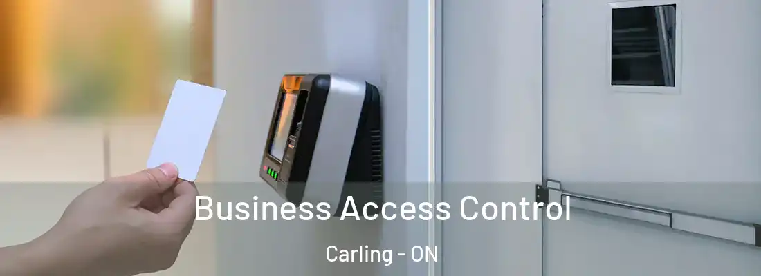 Business Access Control Carling - ON