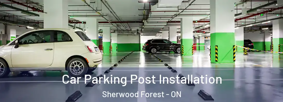  Car Parking Post Installation Sherwood Forest - ON