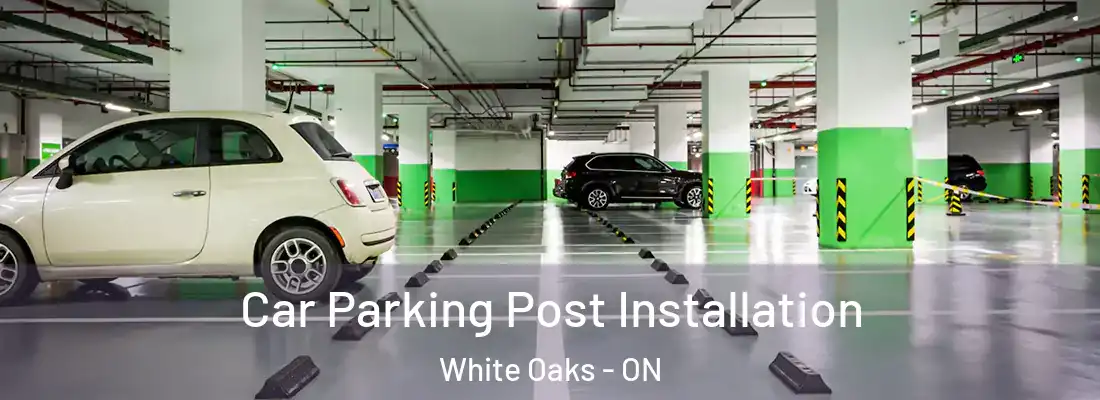  Car Parking Post Installation White Oaks - ON