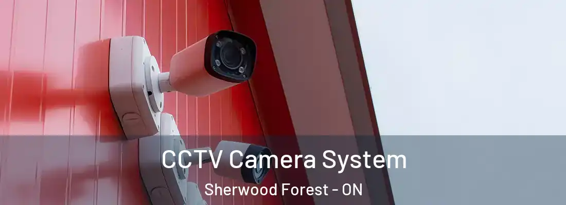  CCTV Camera System Sherwood Forest - ON