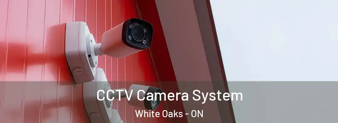  CCTV Camera System White Oaks - ON