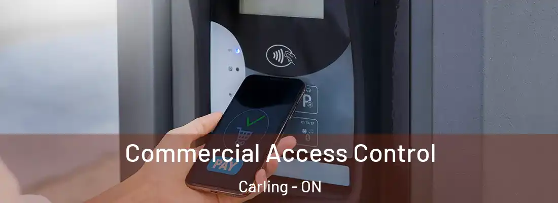  Commercial Access Control Carling - ON