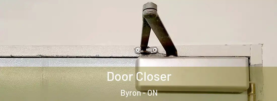  Door Closer Byron - ON