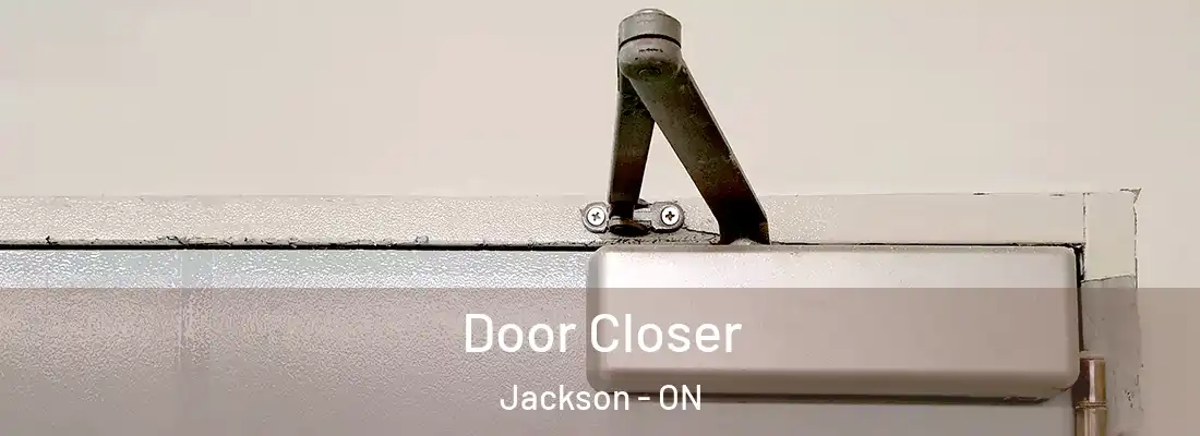  Door Closer Jackson - ON