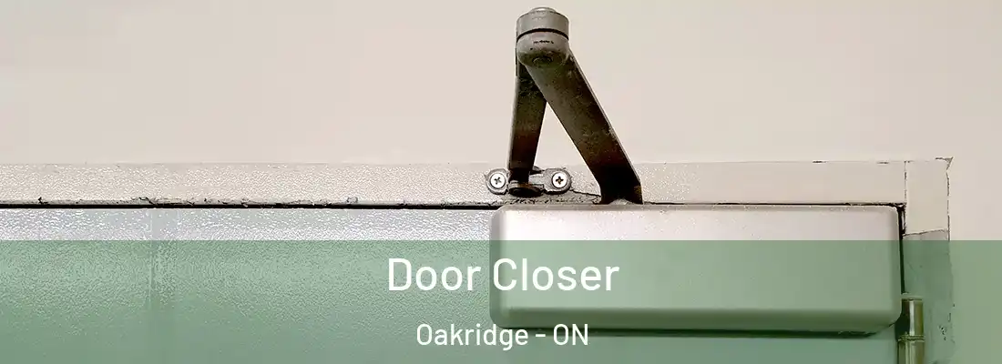  Door Closer Oakridge - ON