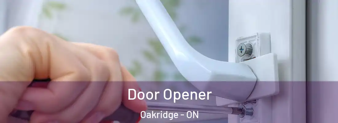  Door Opener Oakridge - ON