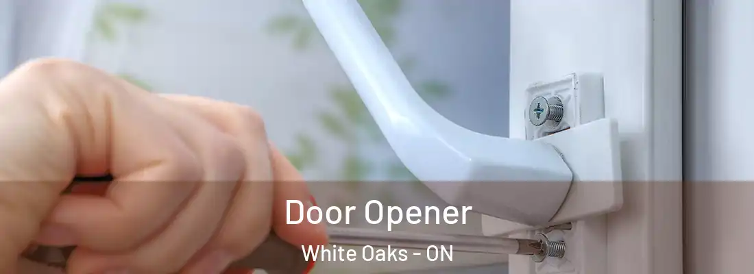  Door Opener White Oaks - ON