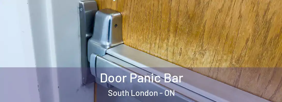  Door Panic Bar South London - ON