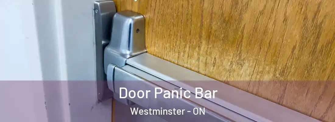  Door Panic Bar Westminster - ON