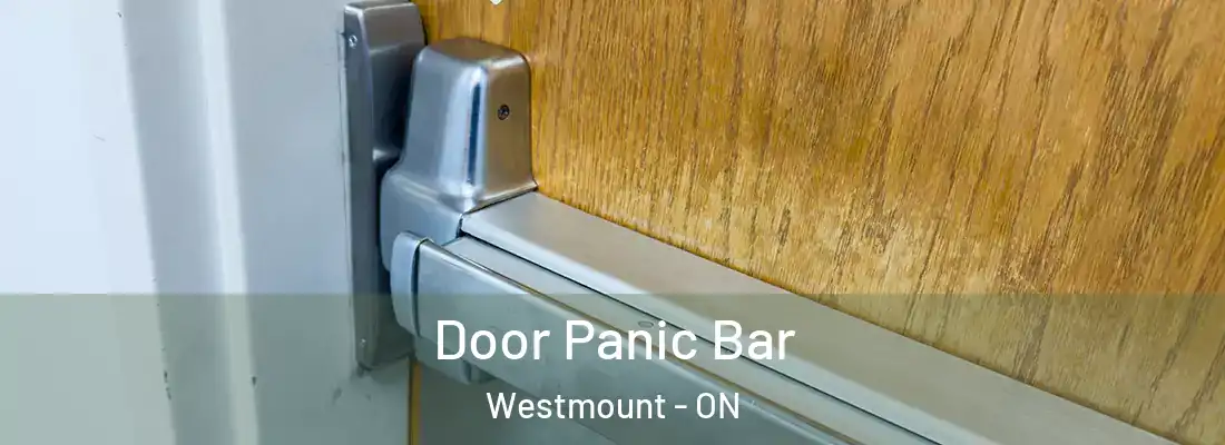  Door Panic Bar Westmount - ON