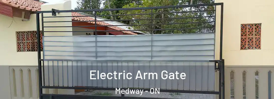  Electric Arm Gate Medway - ON