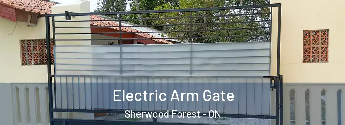  Electric Arm Gate Sherwood Forest - ON