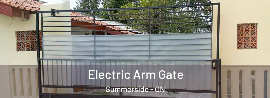  Electric Arm Gate Summerside - ON