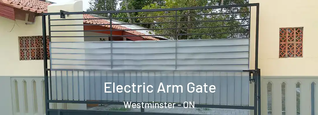  Electric Arm Gate Westminster - ON
