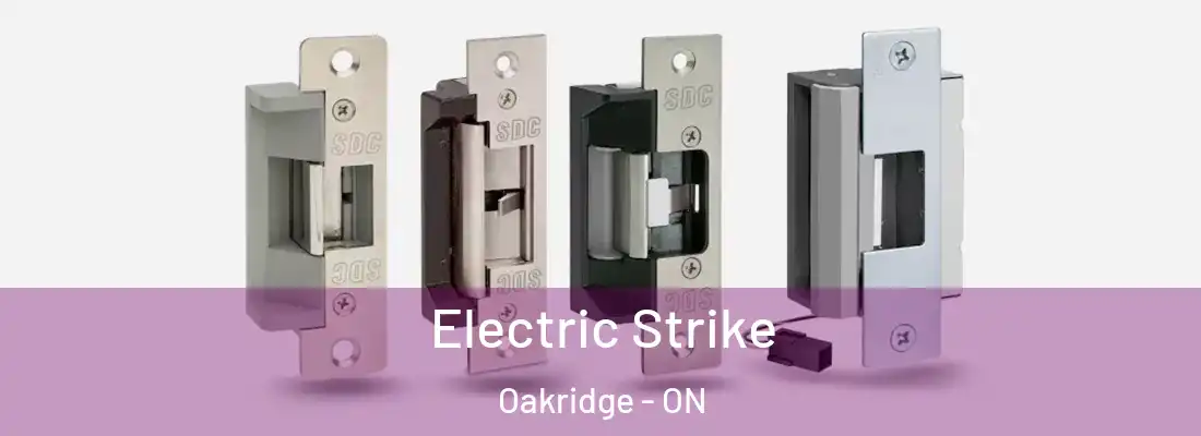  Electric Strike Oakridge - ON