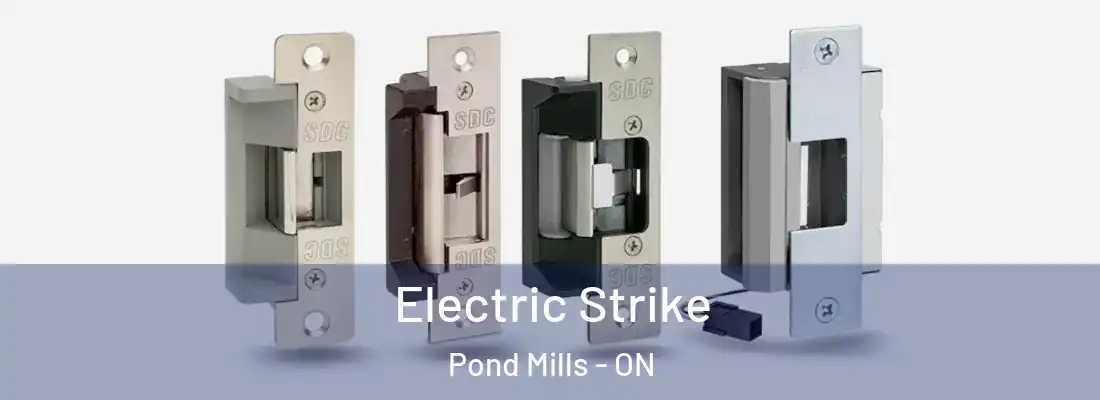  Electric Strike Pond Mills - ON