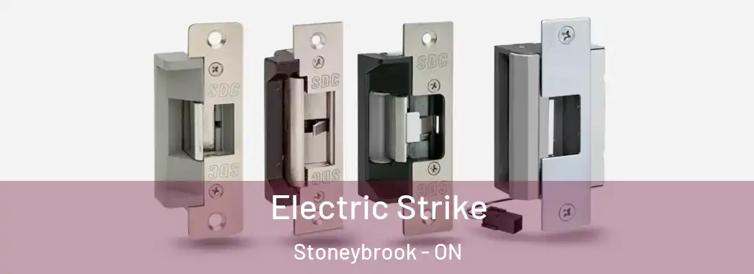  Electric Strike Stoneybrook - ON