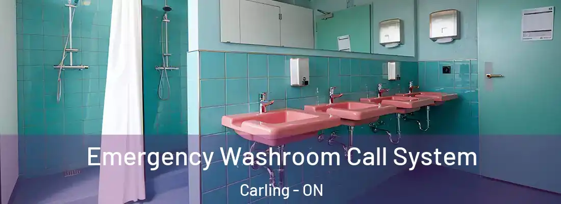  Emergency Washroom Call System Carling - ON