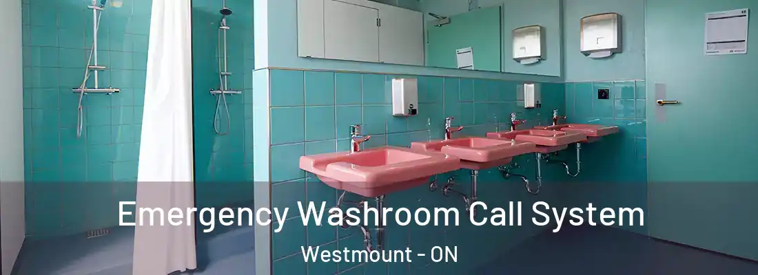  Emergency Washroom Call System Westmount - ON