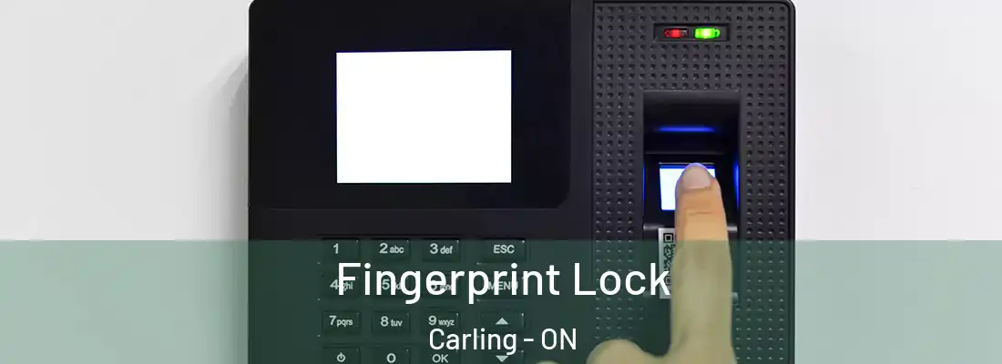  Fingerprint Lock Carling - ON
