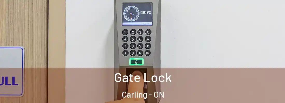  Gate Lock Carling - ON