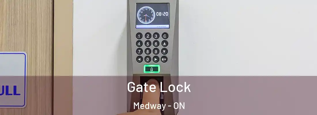  Gate Lock Medway - ON
