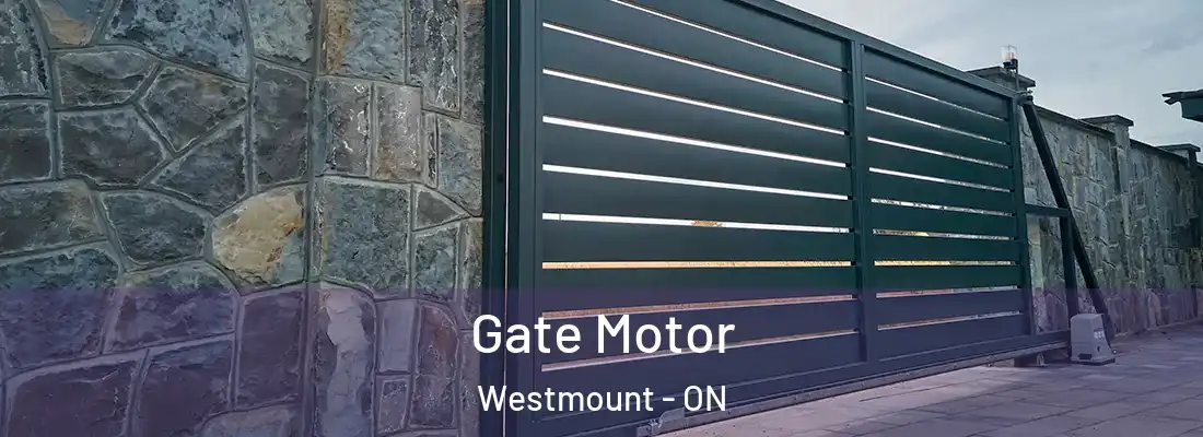  Gate Motor Westmount - ON