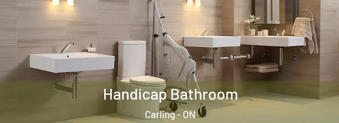  Handicap Bathroom Carling - ON
