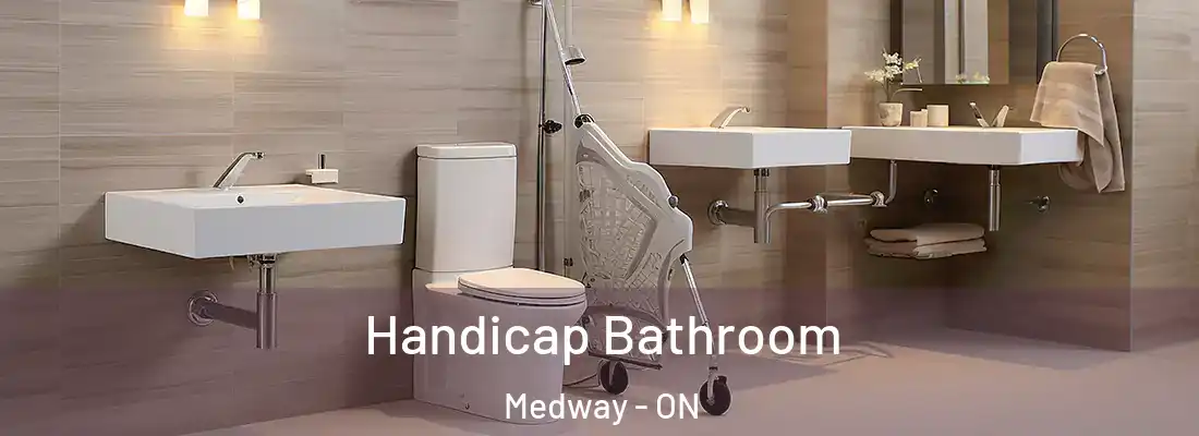  Handicap Bathroom Medway - ON