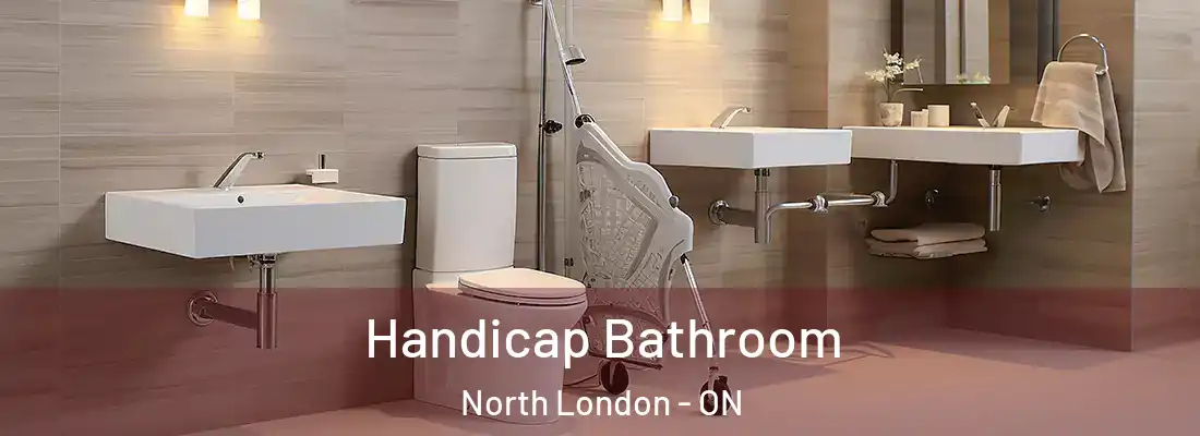  Handicap Bathroom North London - ON