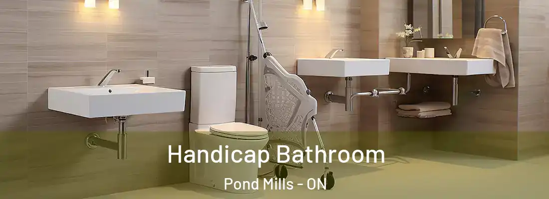  Handicap Bathroom Pond Mills - ON