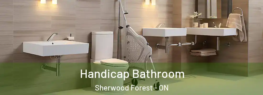  Handicap Bathroom Sherwood Forest - ON