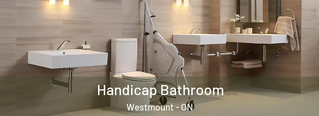  Handicap Bathroom Westmount - ON