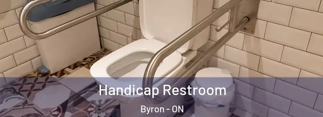  Handicap Restroom Byron - ON